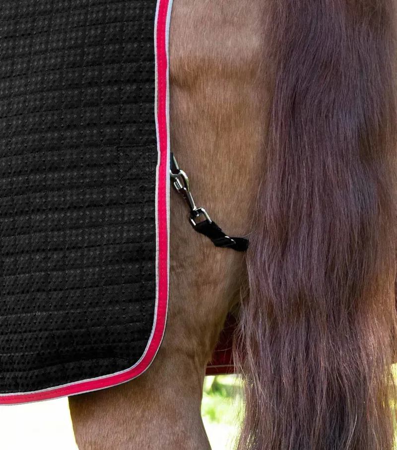 Premier Equine Clip On Adjustable Tail Strap in Black-1