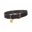 Digby and Fox Flat XS Leather Dog Collar in Brown
