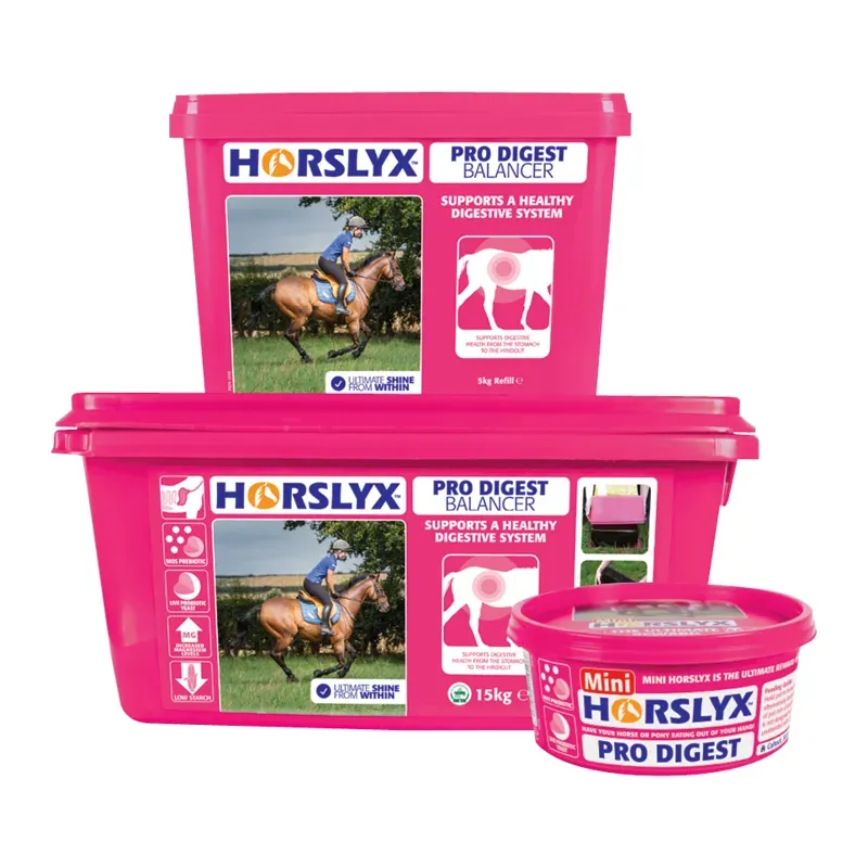 Horslyx Mini Pro Digest 650g
