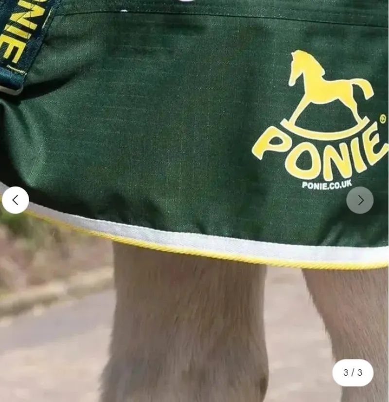 Gallop PONIE Fairyland Dual Combo 100g Turnout Green-2