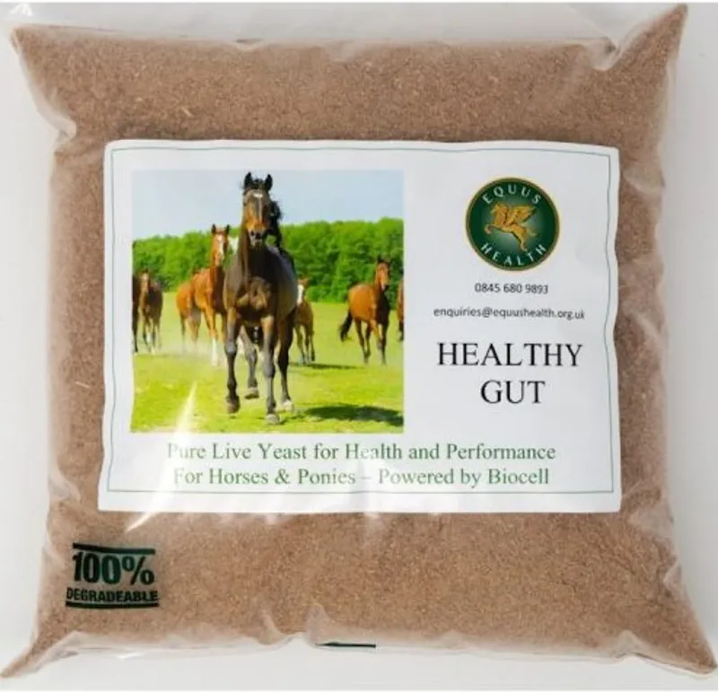 Equus Health Healthy Gut 1kg