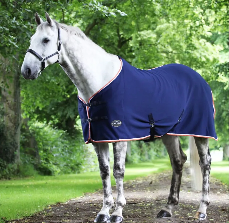 Gallop Jersey Cooler in Navy
