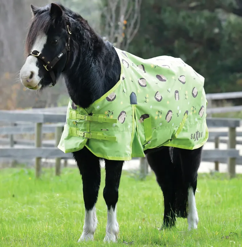Saxon 600D Pony Standard Neck Lite Hedgehogs and Flowers Print 