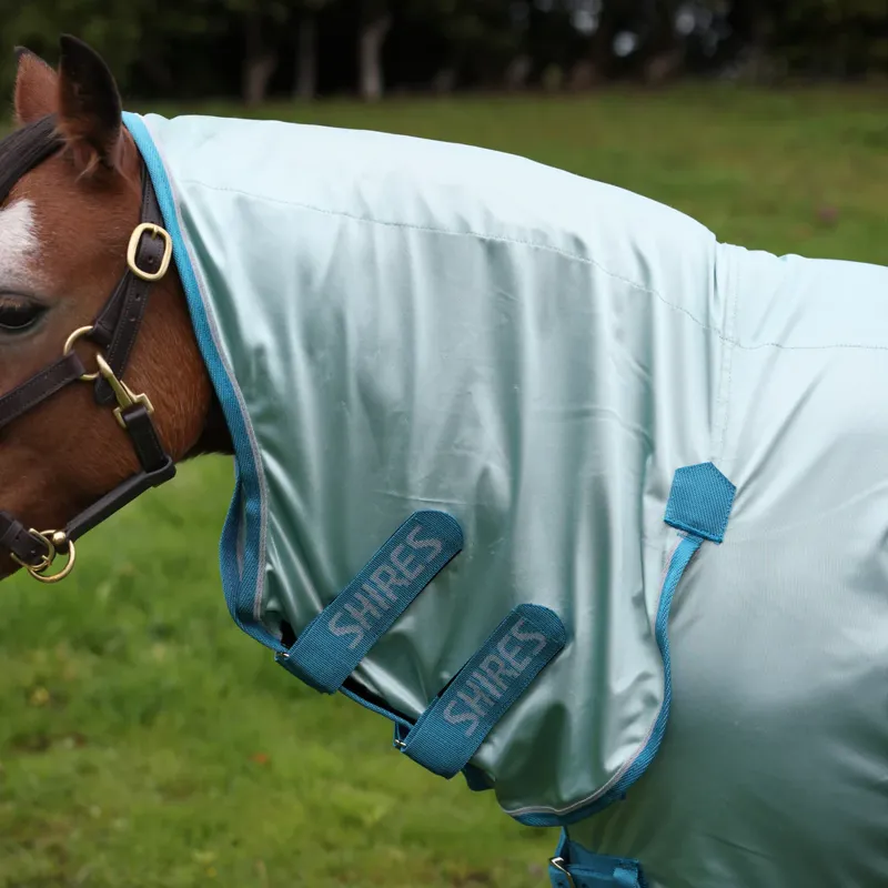 Winnie and Me Fly Combo Rug BLUE-1