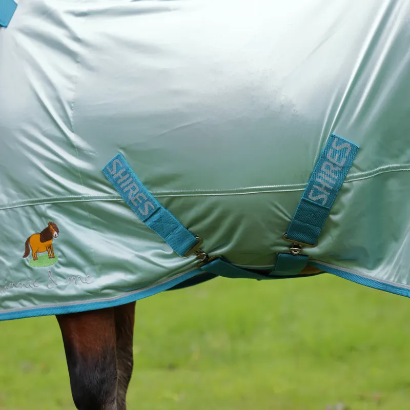 Winnie and Me Fly Combo Rug BLUE-2