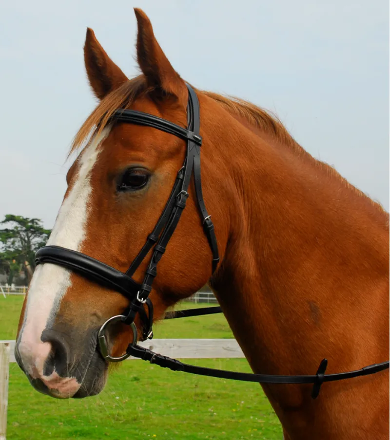 STS Heritage Leather Comfort Cavesson Bridle Havana