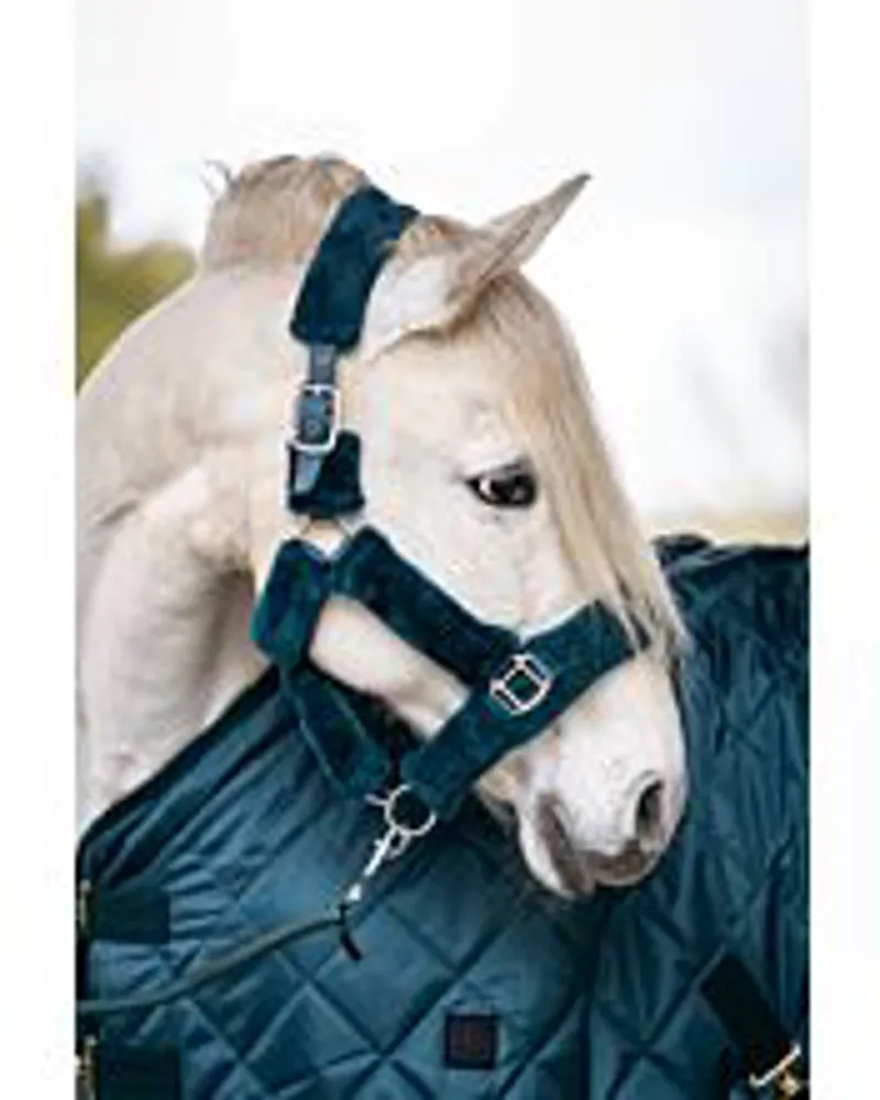 HKM Petrol Comfort Head Collar