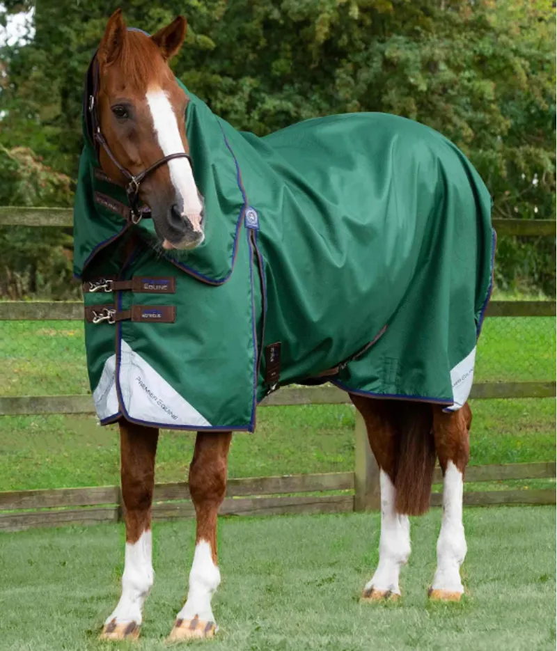Premier Equine Akoni 0g Turnout Rug With Classic Neck Cover Green