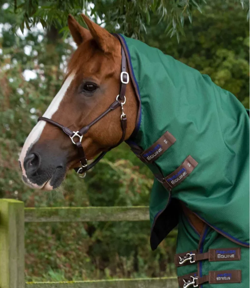 Premier Equine Akoni 0g Turnout Rug With Classic Neck Cover Green-2