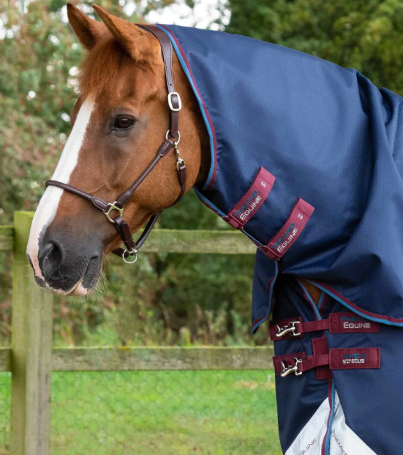 Premier Equine Akoni 0g Turnout Rug With Classic Neck Cover Navy-3