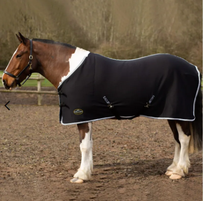 Gallop Jersey Cooler Rug Black