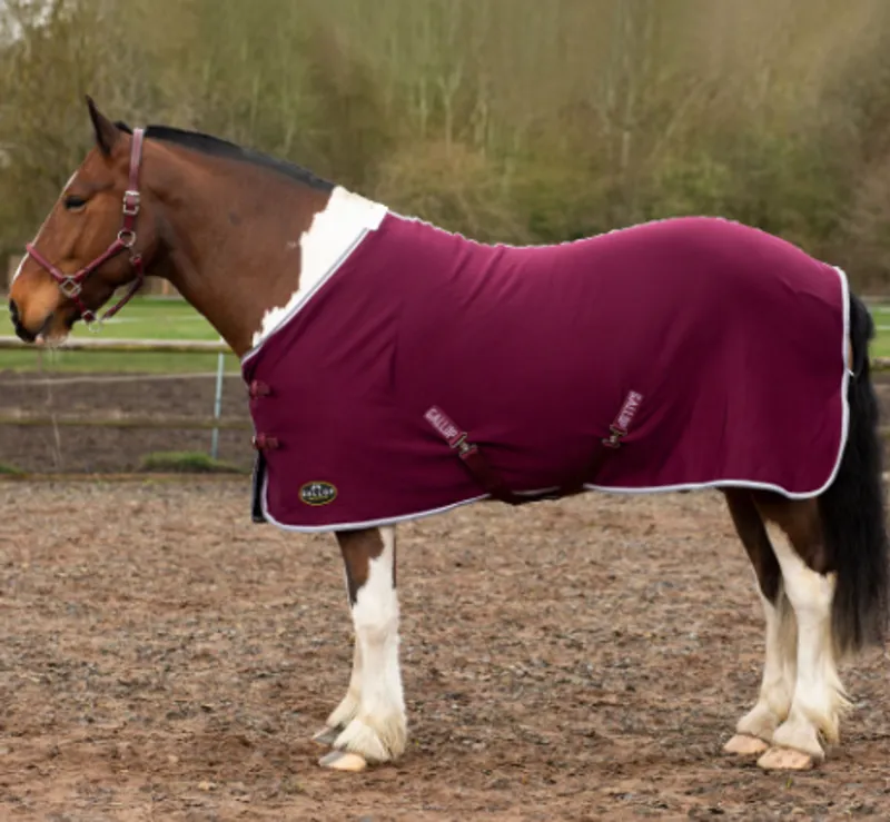 Gallop Jersey Cooler Rug Burgundy