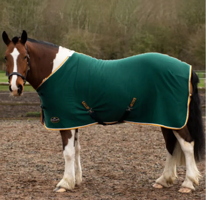 Gallop Jersey Cooler Rug Green