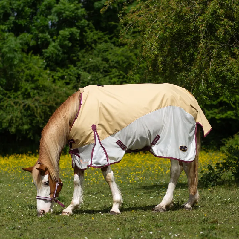TROJAN Duraproof Hybrid Dual Fly Rug With Detachable Neck 5'6-2
