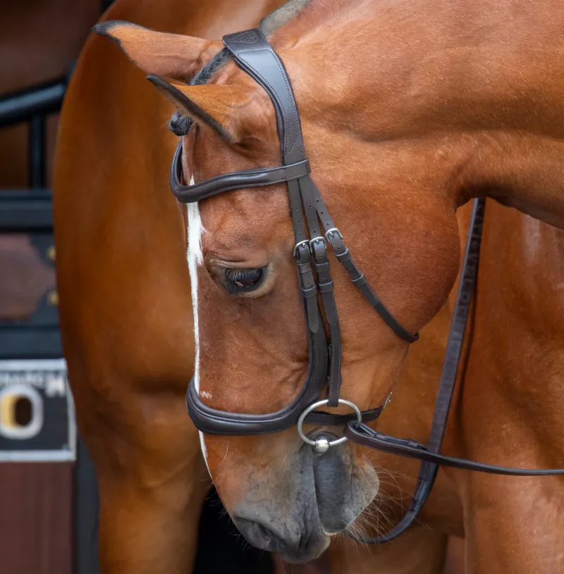 Shires Velociti RAPIDA Ergononic Curved Cavesson Bridle Havana