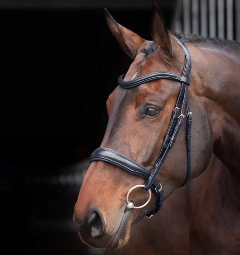 Velociti Lusso Elite Padded Cavesson Bridle Black