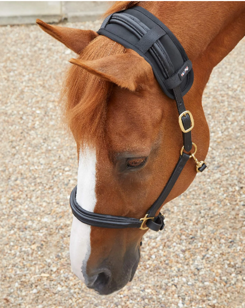 Premier Equine BiPolar Magni Teque PollGuard-1