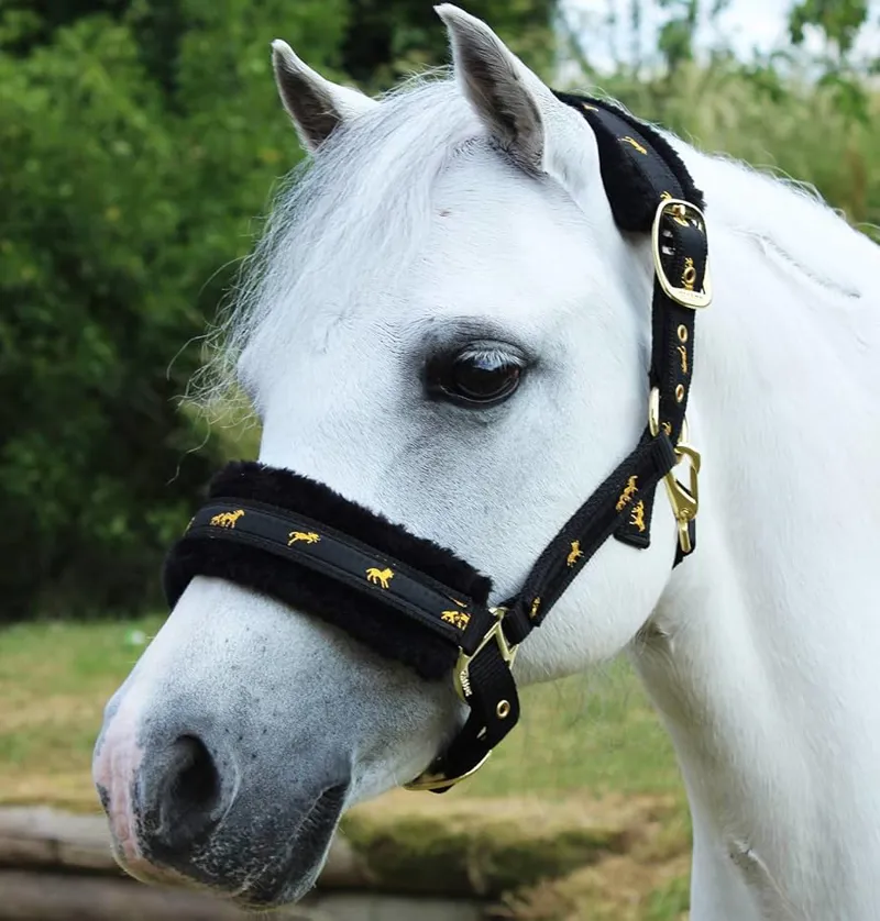 Gallop Nylon Headcollar with Fur Black