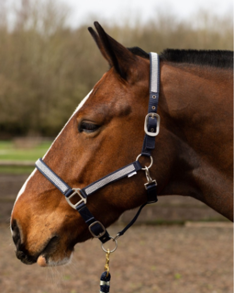 Gallop Nylon Diamonte Headcollar Navy