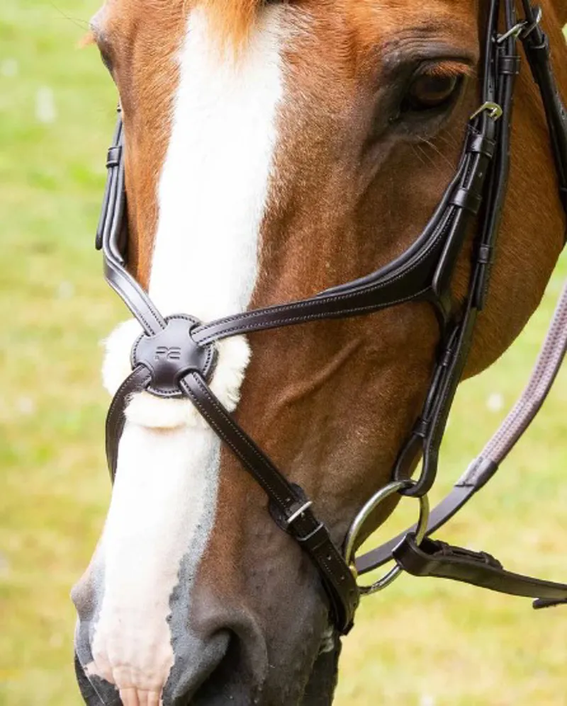 Premier Equine Glorioso Mexican Grackle Noseband in Black-1