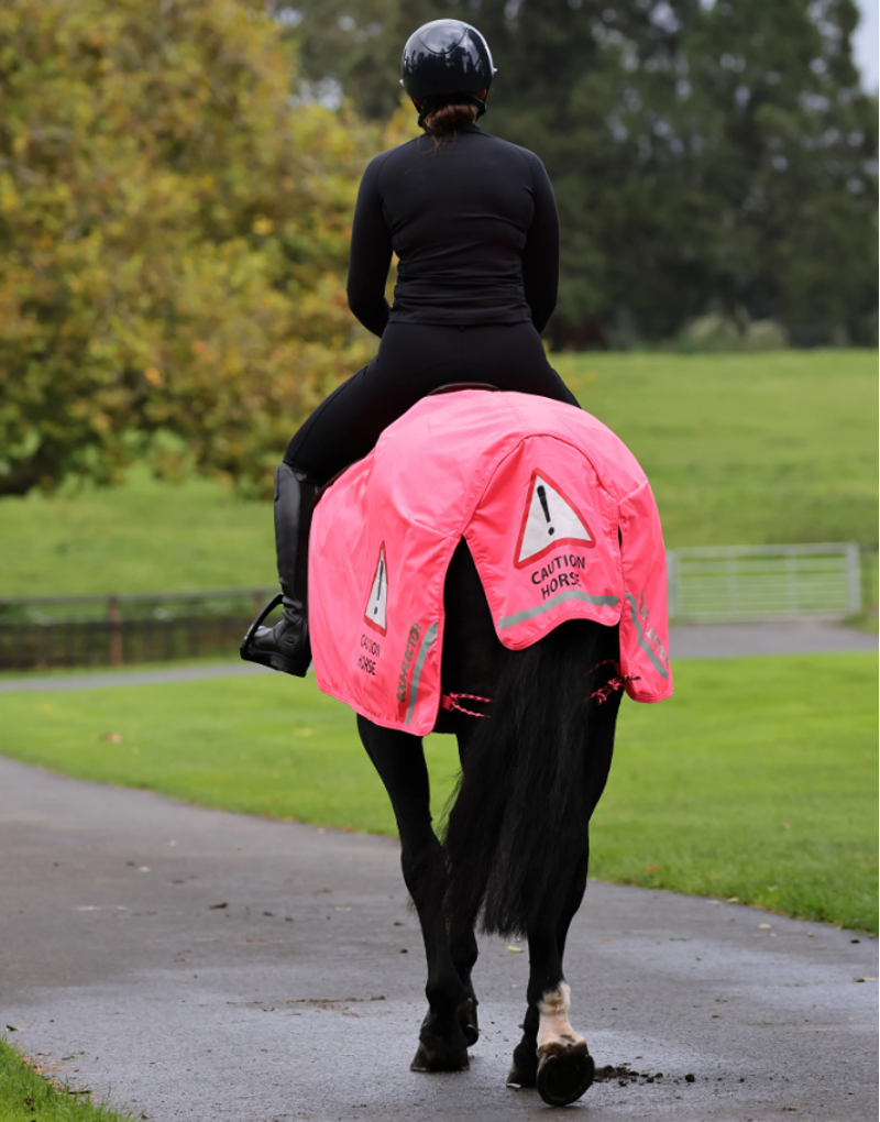 Shires Equi-Flector Waterproof Exercise Sheet Pink-1