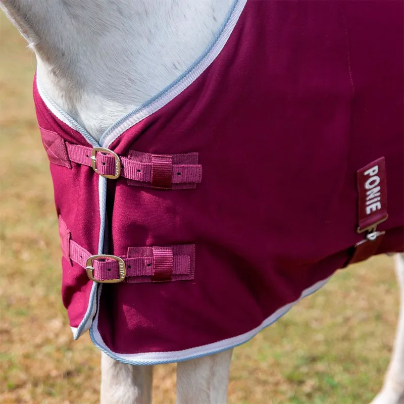 Gallop PONIE Tiddlywinks Jersey Cooler Burgundy-1
