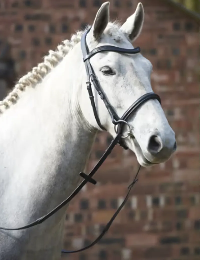 GFS Simplicity Bridle Black