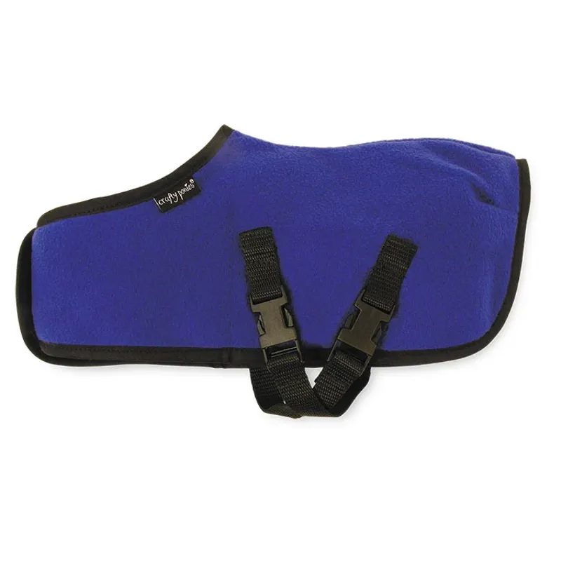 Crafty Ponies Blue Rug