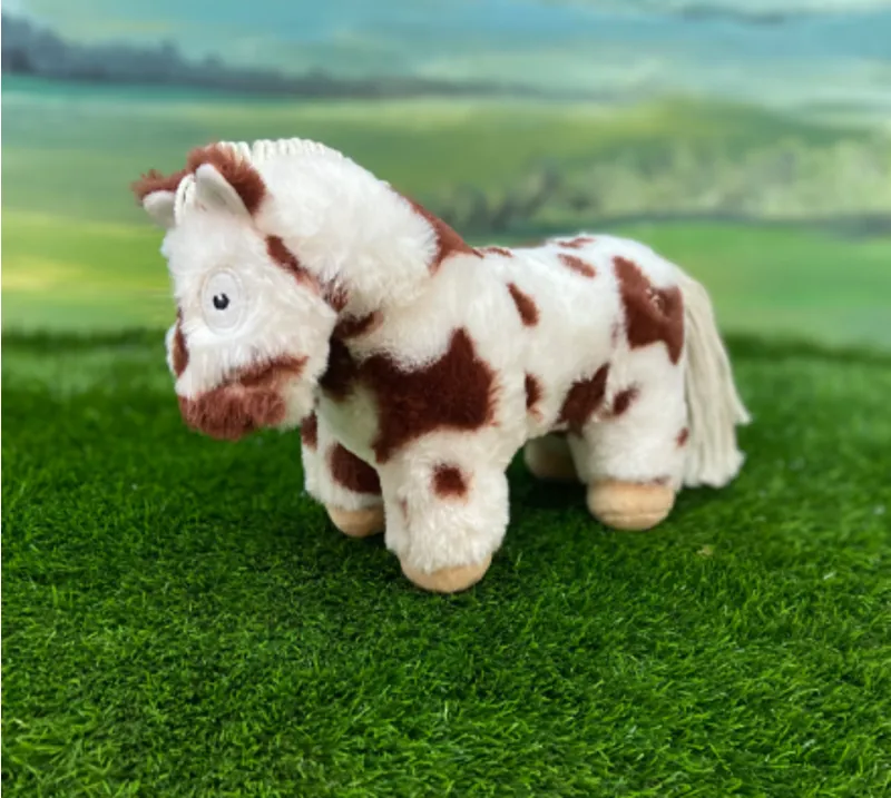 Crafty Ponies Foal Skewbald