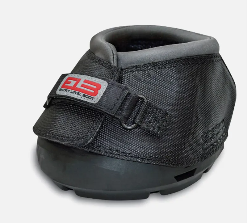 Cavallo Entry Level Boot Regular