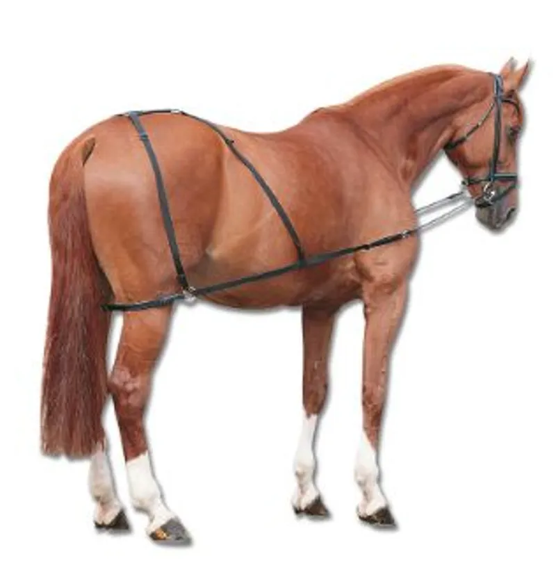 Waldhausen Combi Trainer Full