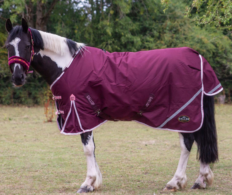 Gallop Trojan Xtra Duraproof 200g Standard Neck Turnout