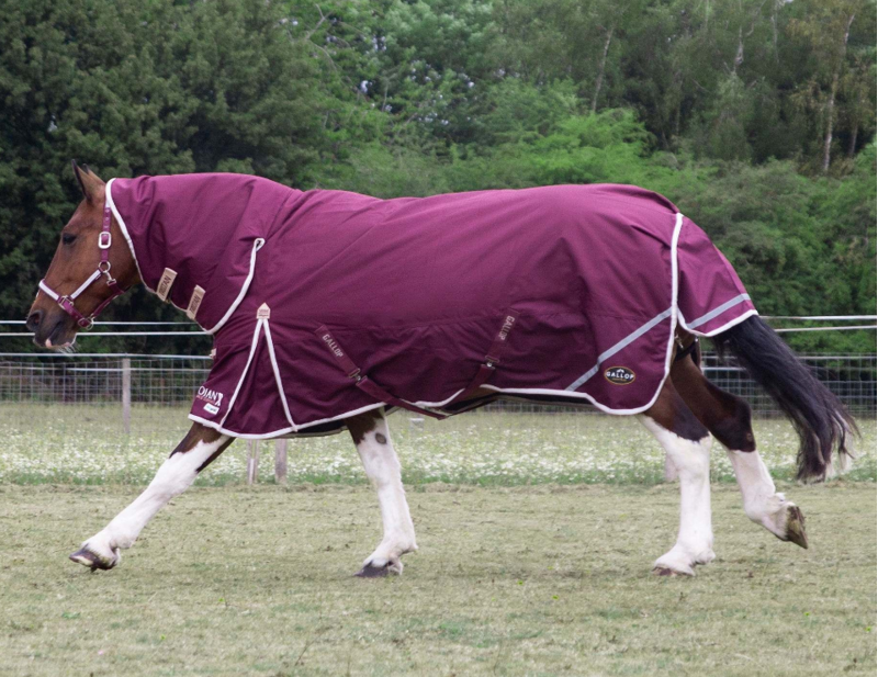 Gallop Trojan 100g Duraproof Combo Turnout Rug 1200 Denier Burgundy-3