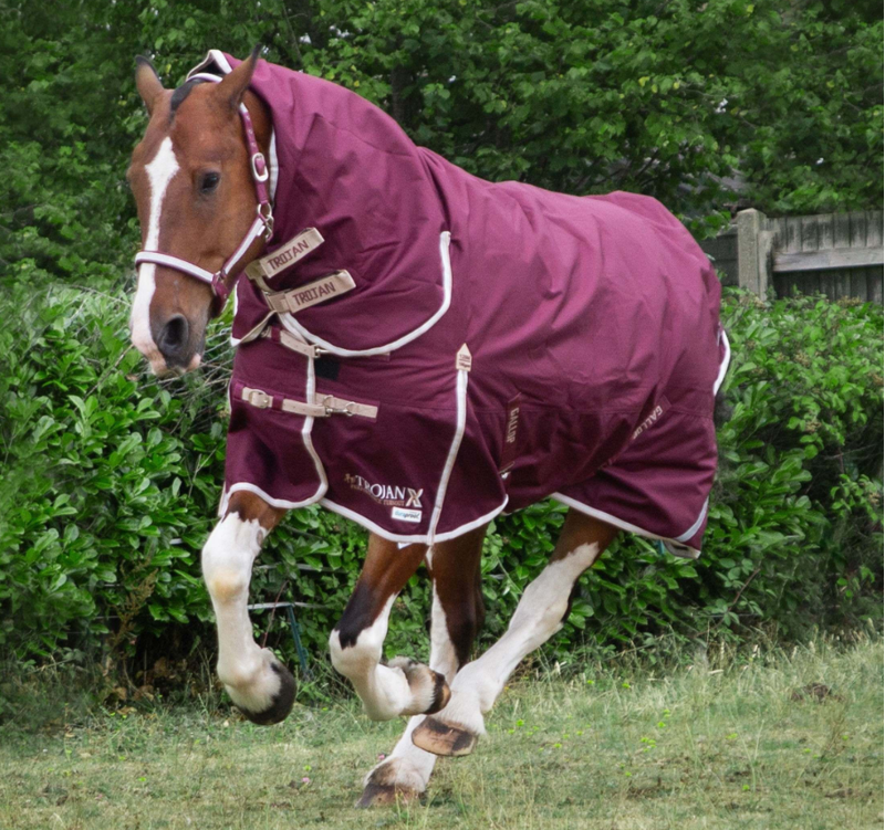 Gallop Trojan 100g Duraproof Combo Turnout Rug 1200 Denier Burgundy-4