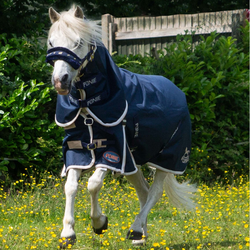 Gallop Ponie Duraproof 100g Turnout Combo 600 Denier Navy-4