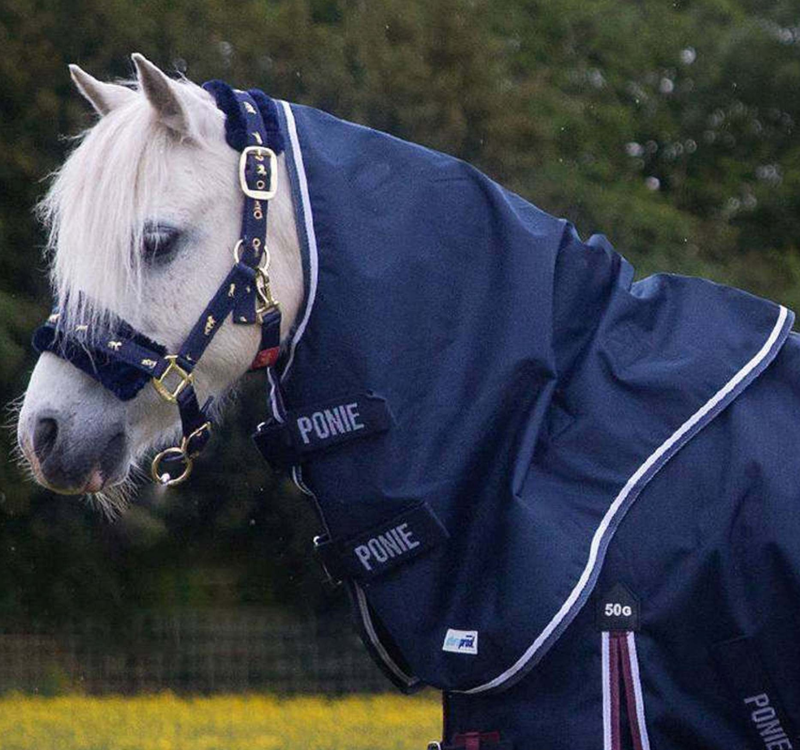NEW Gallop Trojan LW Duraproof Turnout Neck Cover 600d 0g