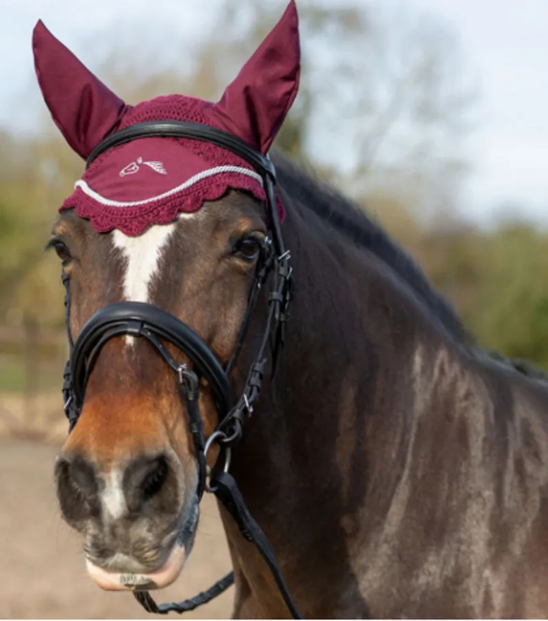 Gallop Classic FLy Veil Burgundy