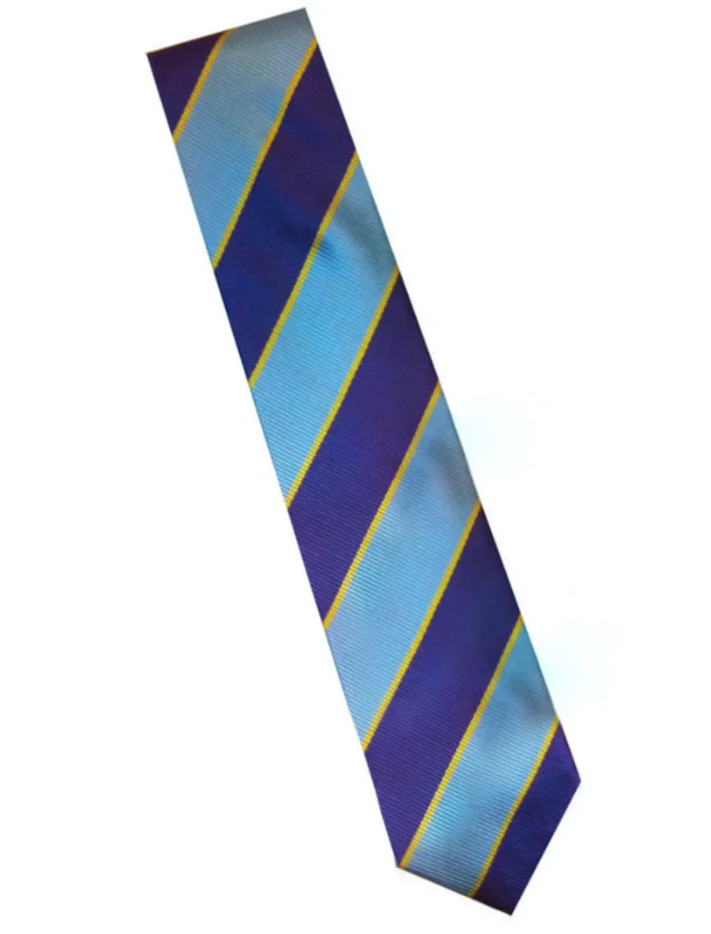 Elico Junior Ppny Club Colours Tie Grey/Purp/Gold Stripe