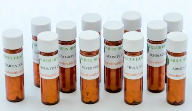Equus Health Hypericum Homeopathy
