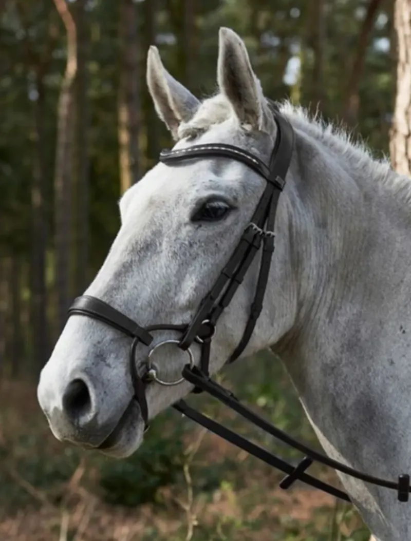 GFS Harmony Bridle Havana