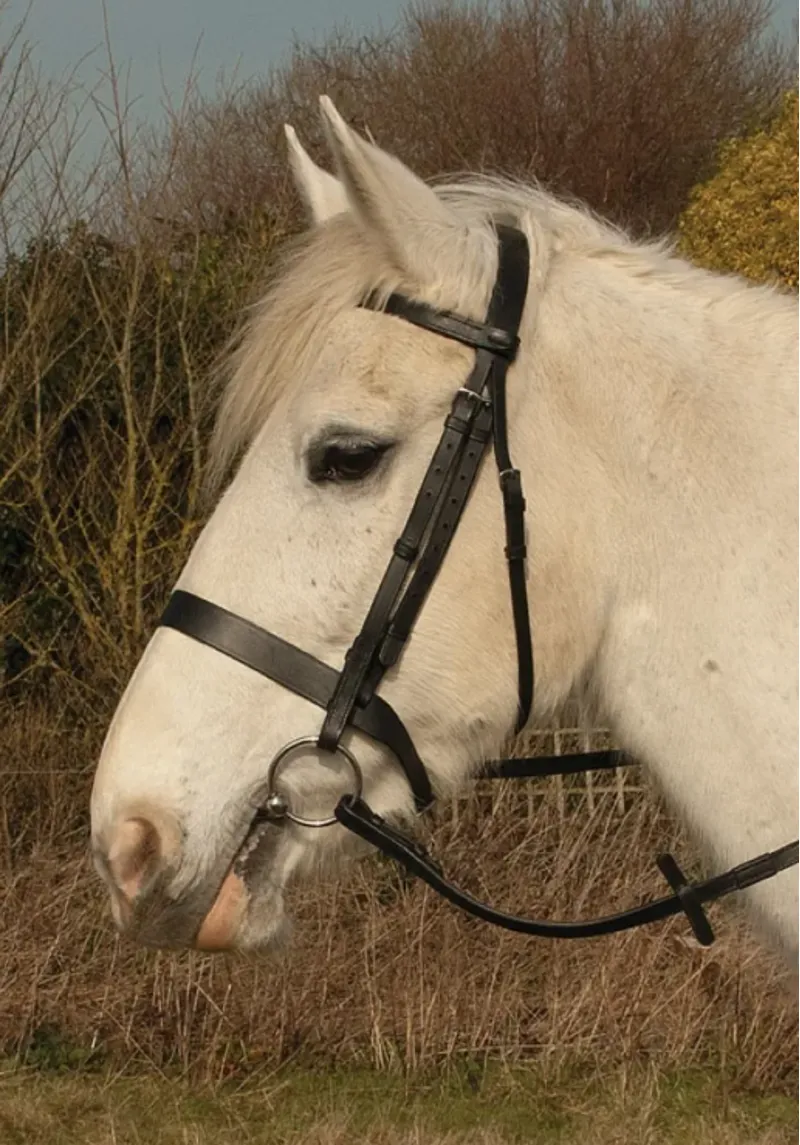 Heritage Plain Hunter Bridle Havana