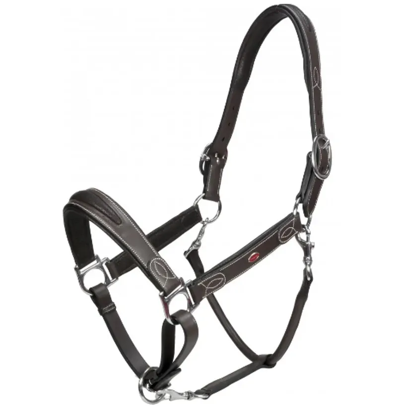 John Whitaker Chicago Headcollar Havana