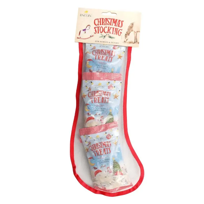 Lincoln Christmas Stocking - Treat 1