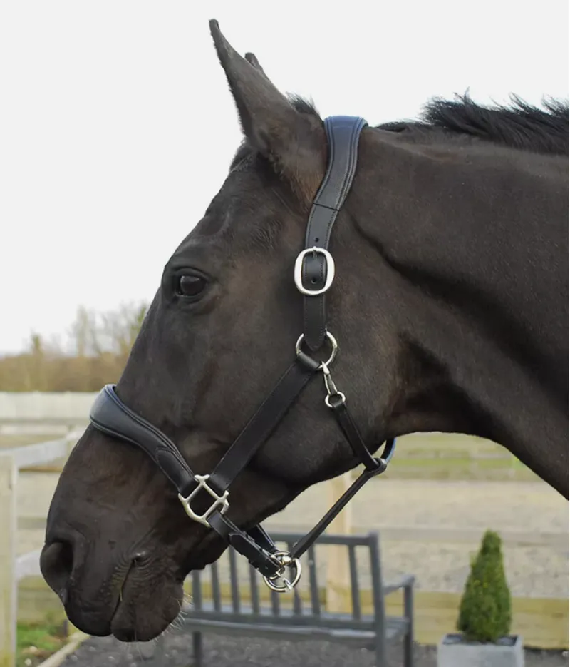 Rhinegold Softee Pro-Anatomic Headcollar Black