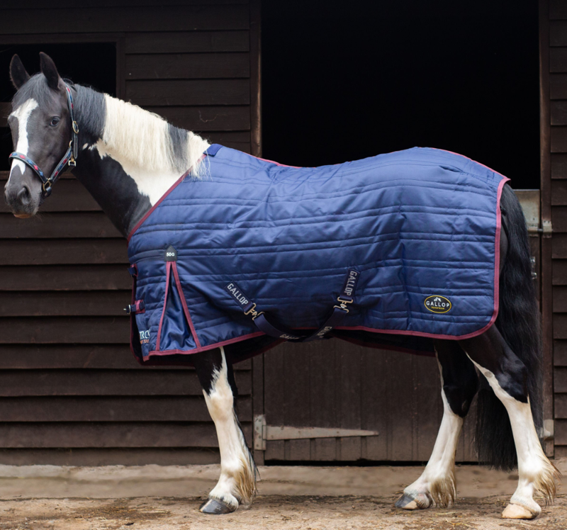 Gallop Trojan 50g Stable Rug Standard Neck