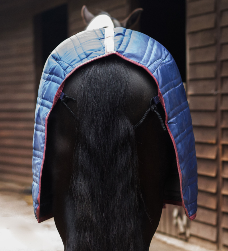 Gallop Trojan 50g Stable Rug Standard Neck-2