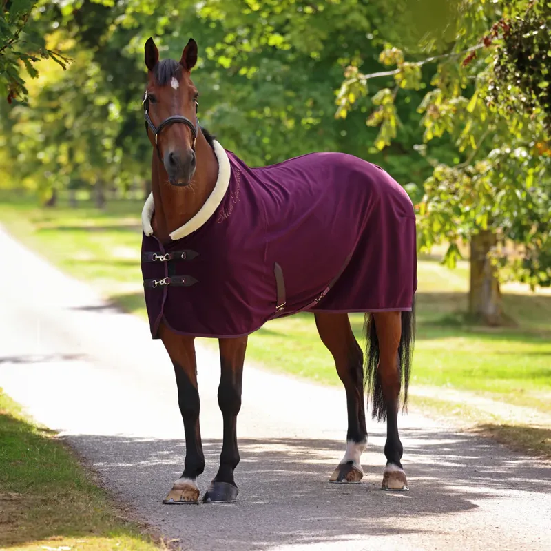 Shires Deluxe Fleece Rug BLACK CHERRY
