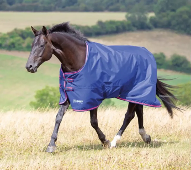 Coperta Impermeabile Per Cavalli 600D, Peso Medio, 200 G Di Riempimento - Foto 10