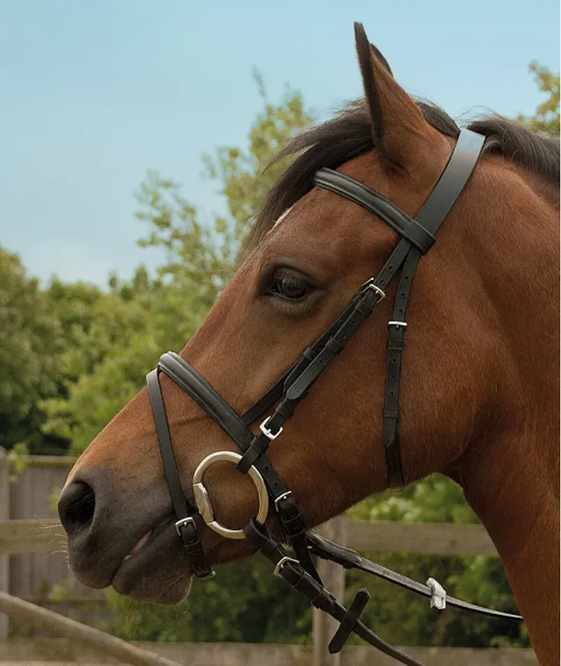 STS Windsor Flash Bridle Brown