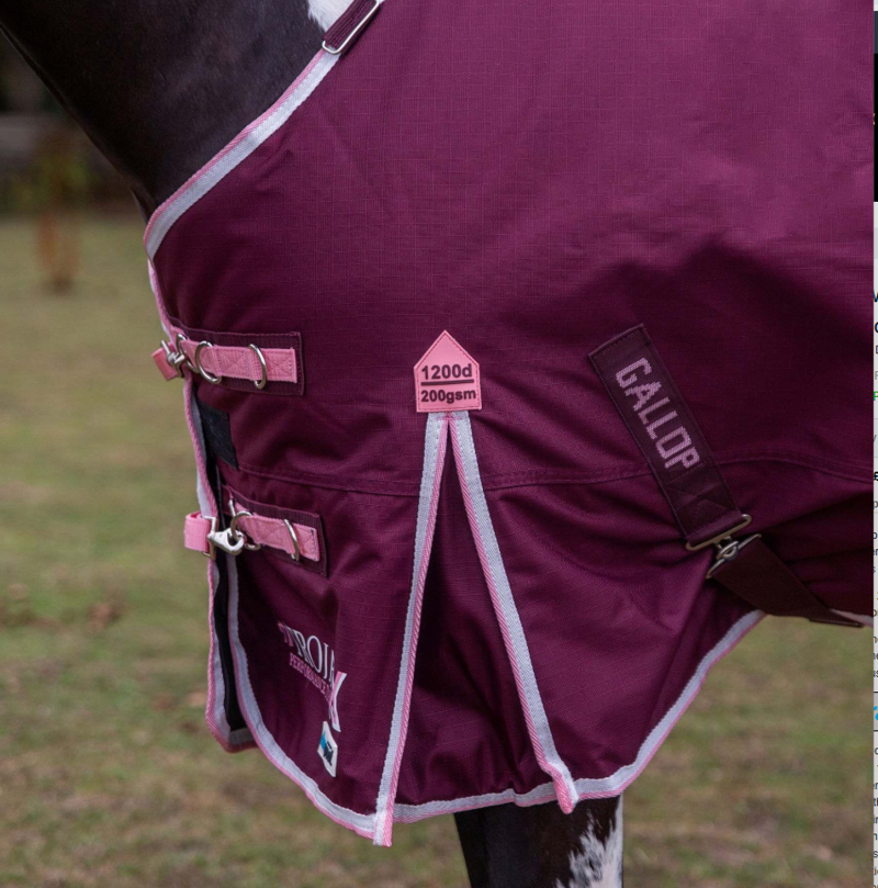 Gallop Trojan Xtra Duraproof 200g Standard Neck Turnout-1